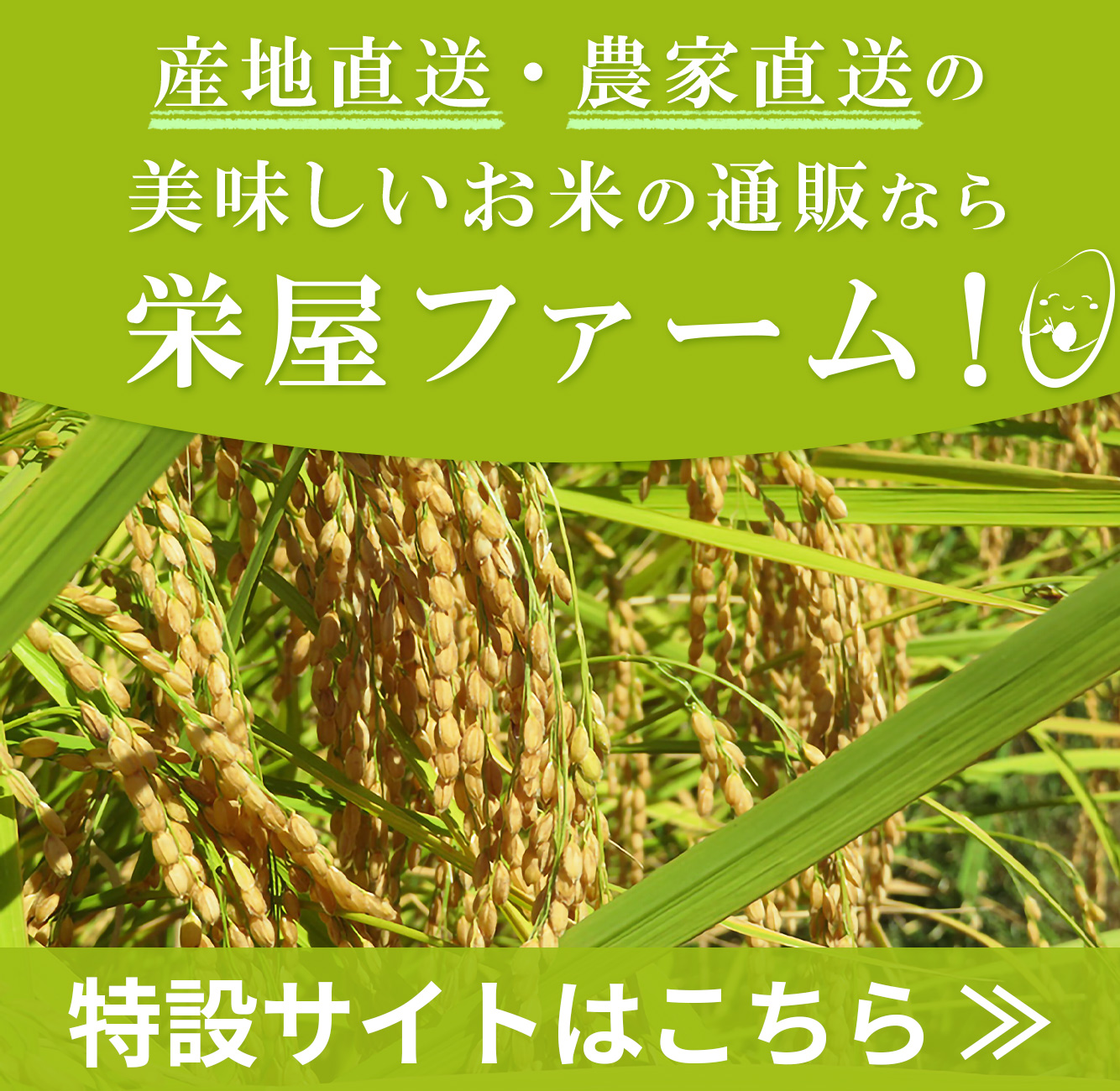 特設サイトはこちら